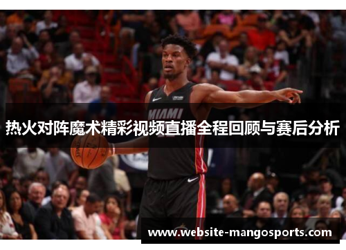 热火对阵魔术精彩视频直播全程回顾与赛后分析